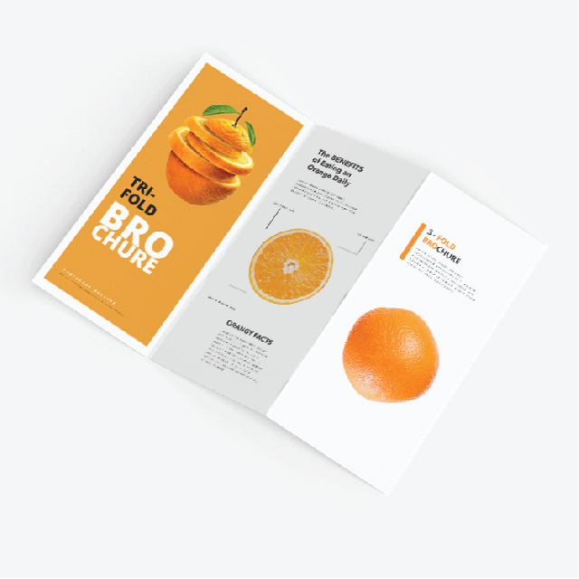 Tri-Fold Menu Brochures (Flat Size)